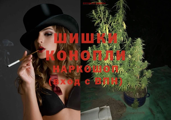гашик Балахна