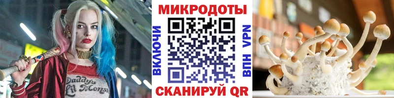даркнет сайт  darknet клад  Псилоцибиновые грибы Psilocybe  Короча 